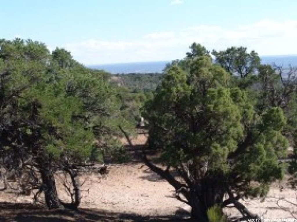 #44, Duchesne, UT 84021