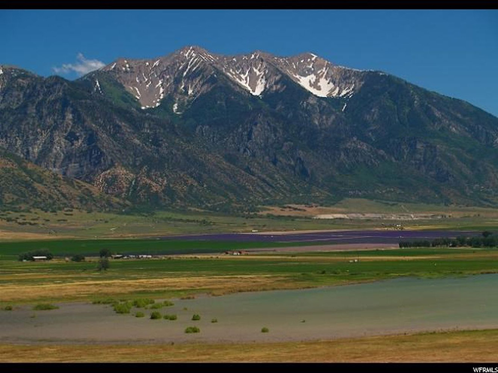 2000 N 2000 W, Mona, UT 84645