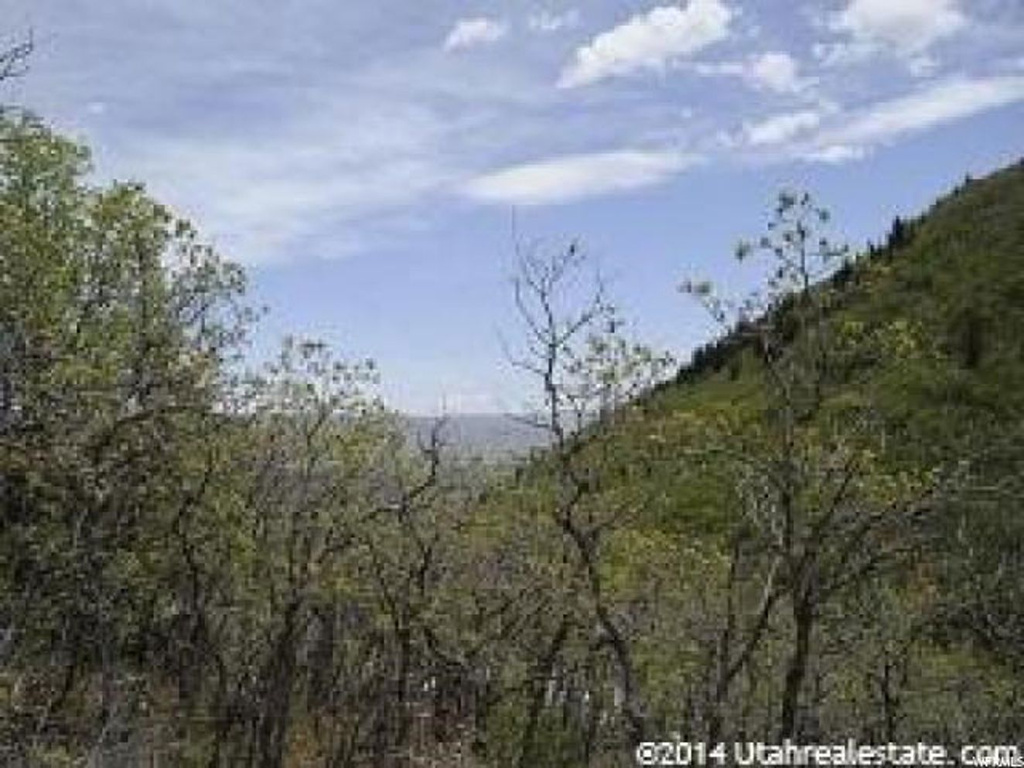 143 Willow Ln #143, Midway, UT 84049