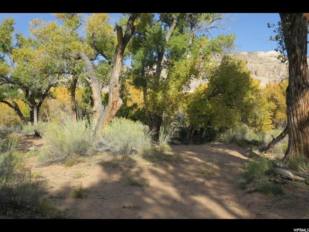 Torrey, UT 84775