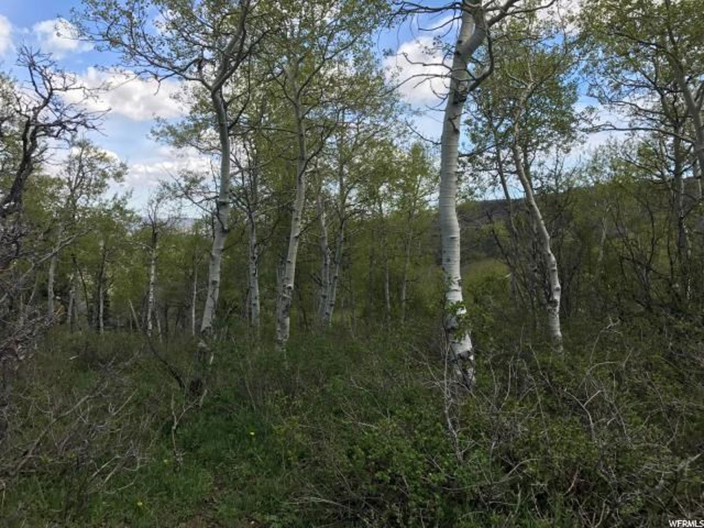 121 W Elkridge Rd #121, Echo, UT 84024