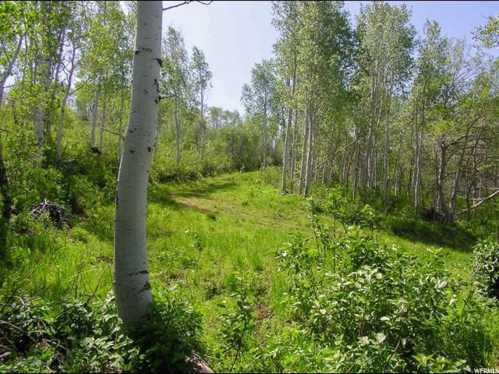 32 Legacy Ranch #32, Avon, UT 84328