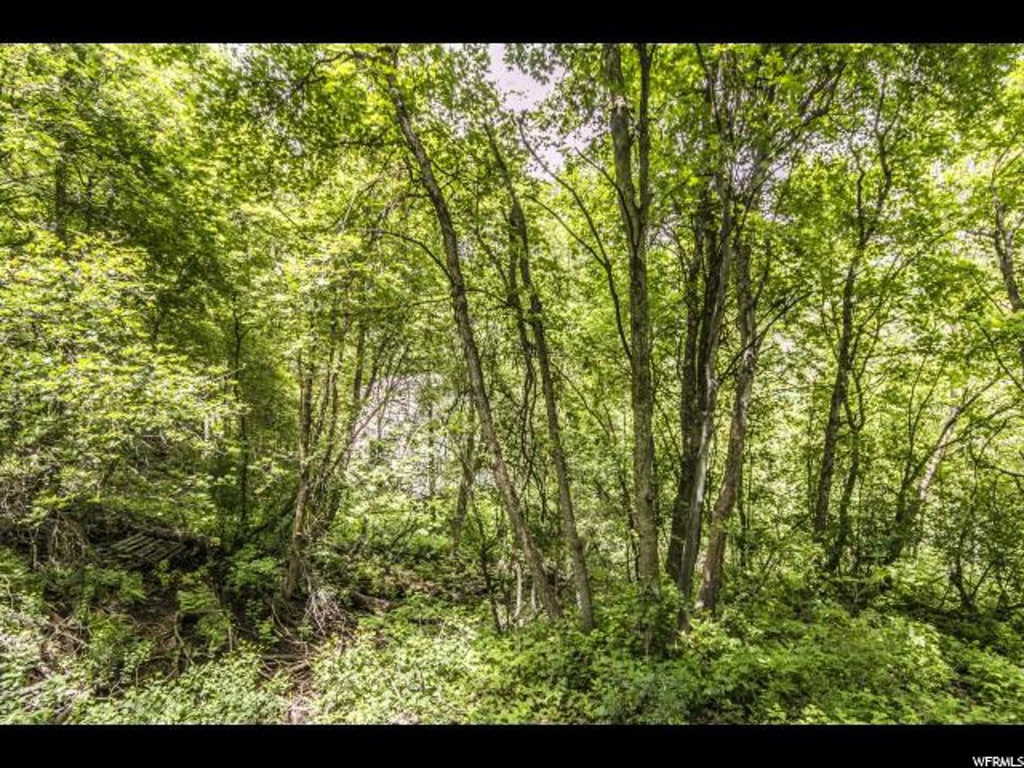 24 Twist Dr #24A, Midway, UT 84049