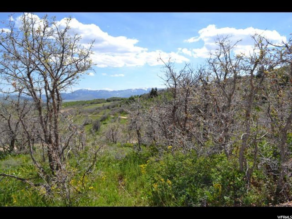 144 Forestmeadow Rd, Wanship, UT 84017
