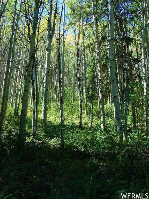 #32, Tabiona, UT 84072