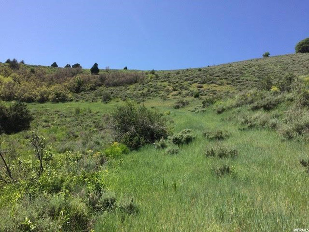 #91, Huntsville, UT 84317