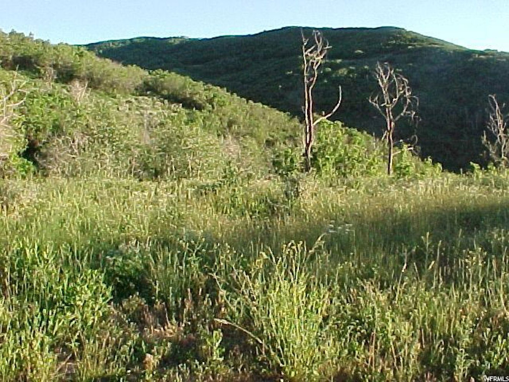 192 N West Rd #192, Echo, UT 84024