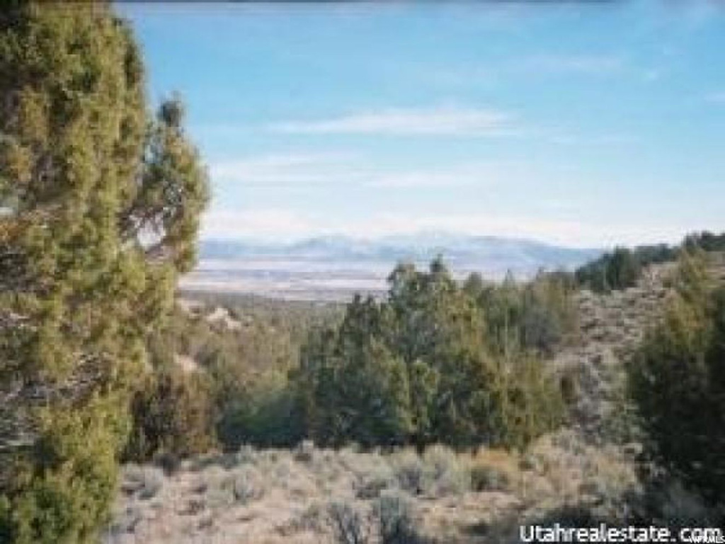 Levan, UT 84639