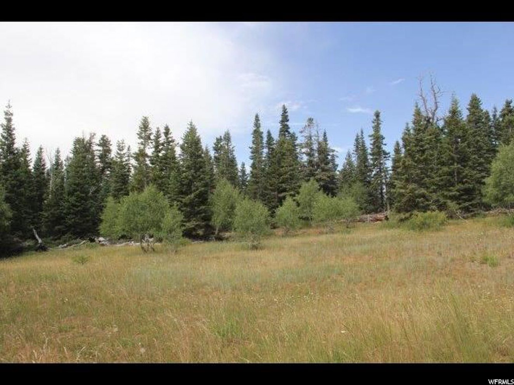 #15, Cedar City, UT 84720
