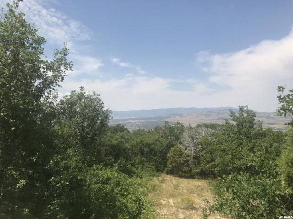 13784 E 22460 N #58, Fairview, UT 84629