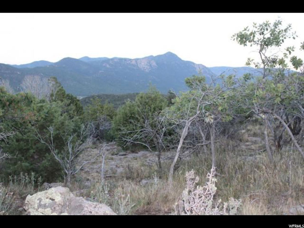 #9, Pine Valley, UT 84781