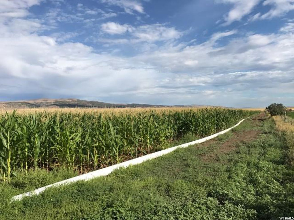 Levan, UT 84639