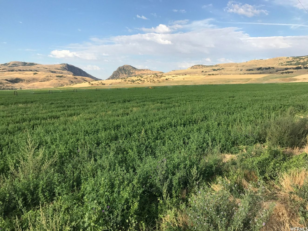 7400 W 7400 N, Newton, UT 84327