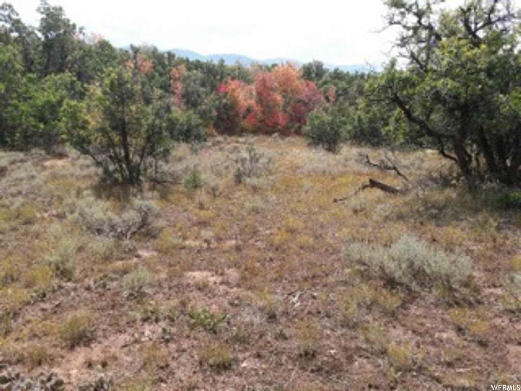 #241, Indianola, UT 84629