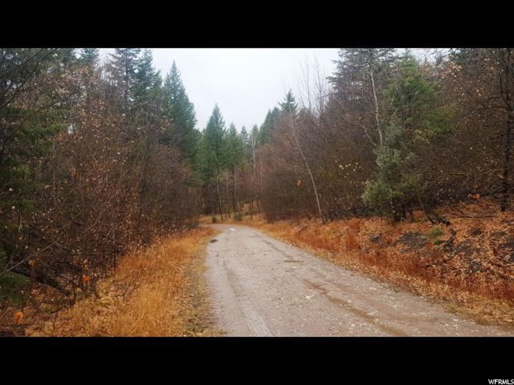 Bancroft, ID 83217