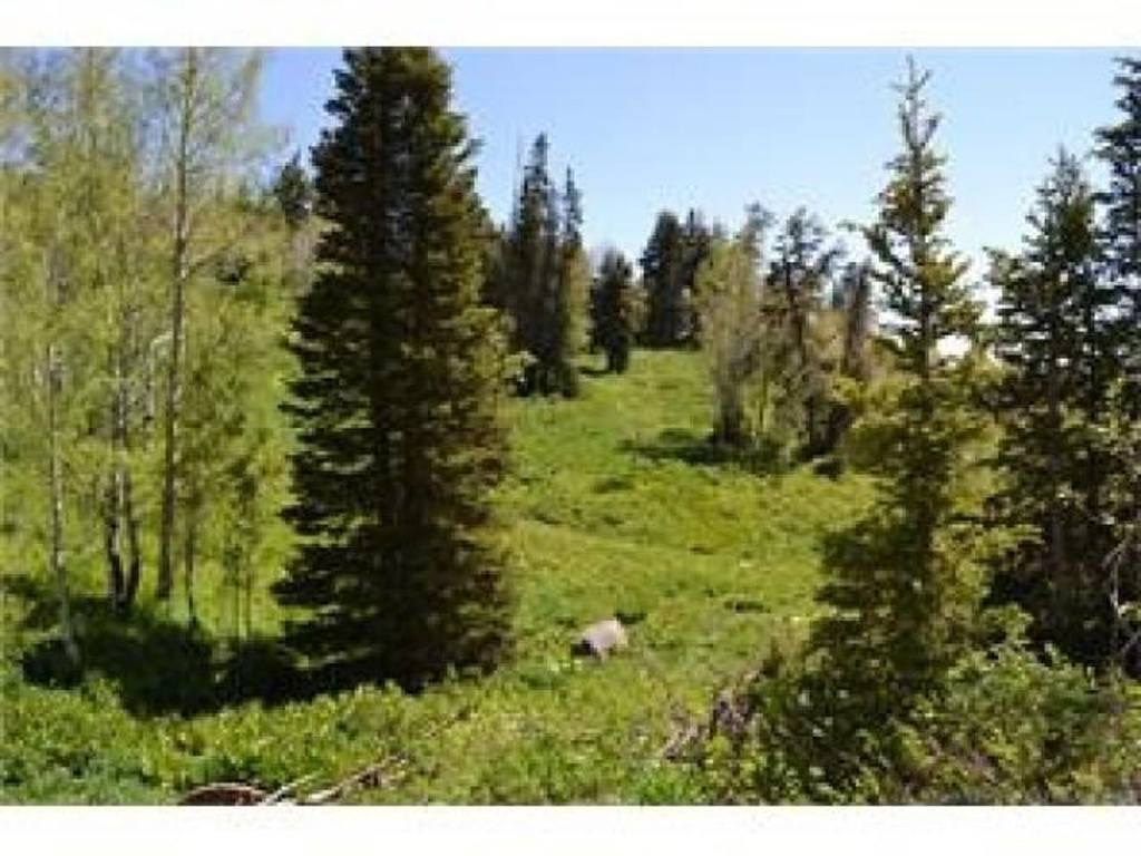 1732 Alexander Cyn #D91, Wanship, UT 84017
