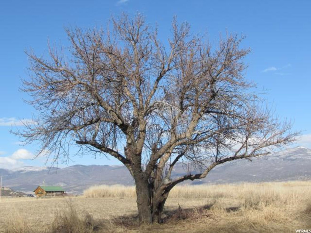 8245 E 19400 N, Mt Pleasant, UT 84647