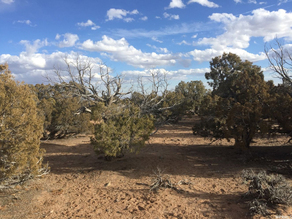 #6, Neola, UT 84053
