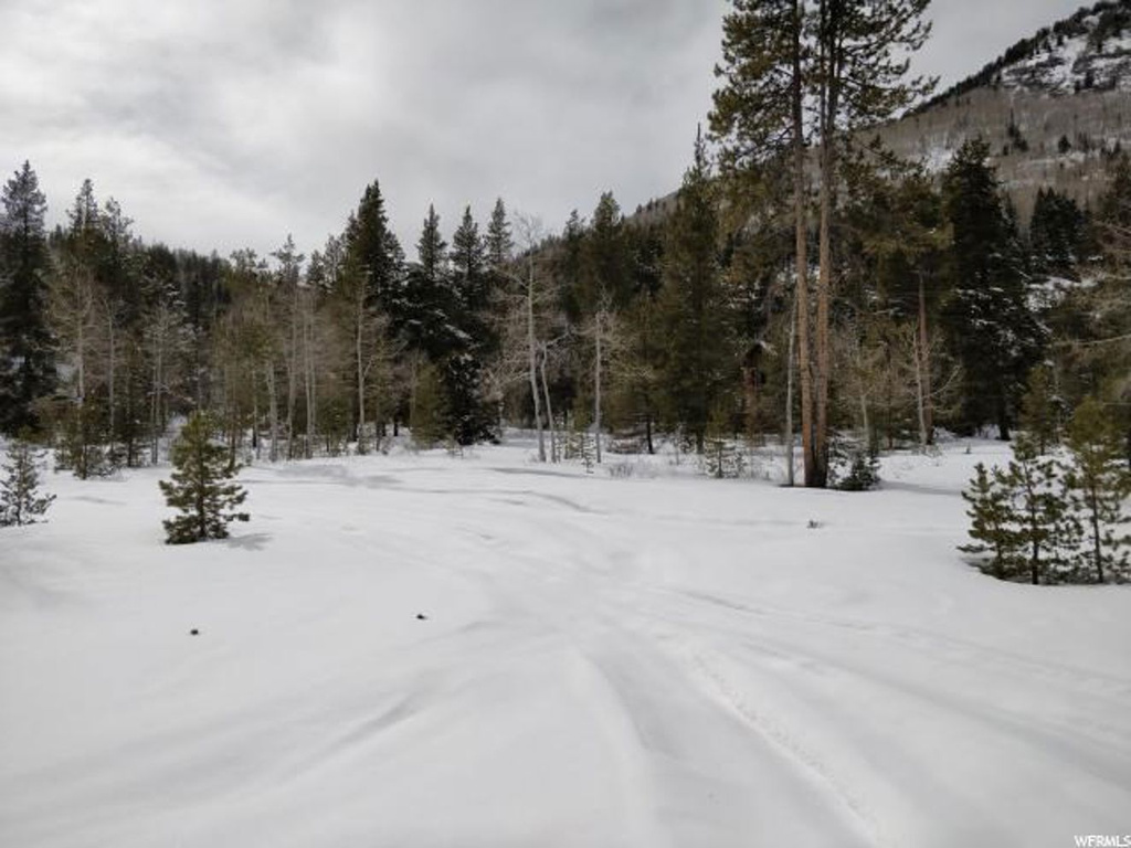 72 Mohican Rd #72, Oakley, UT 84055
