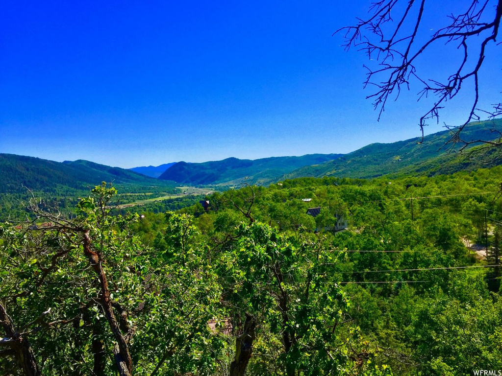 8 Escalate #8, Oakley, UT 84055