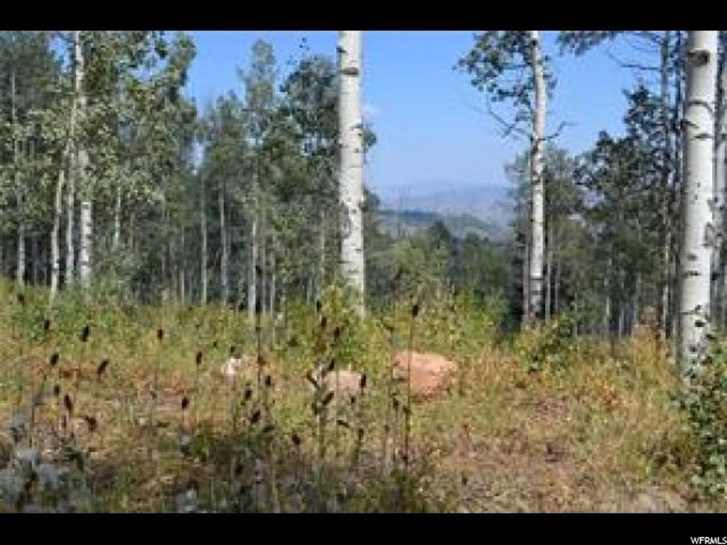2481 Forest Meadow Rd #D91, Wanship, UT 84017