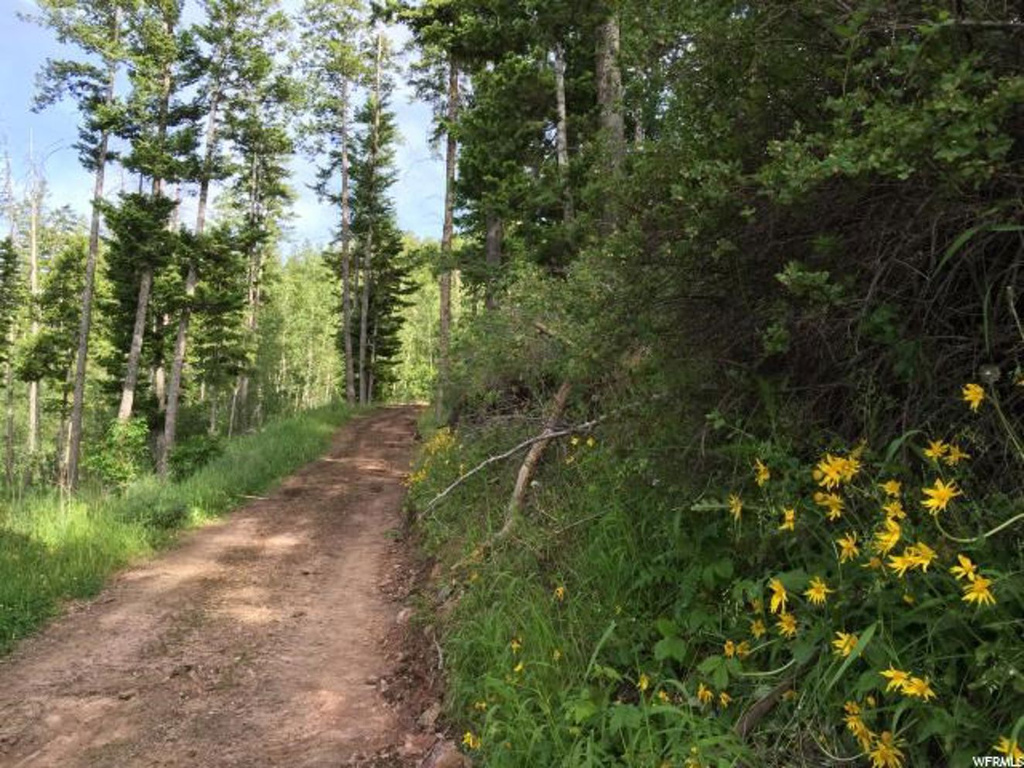 #D, Georgetown, ID 83239