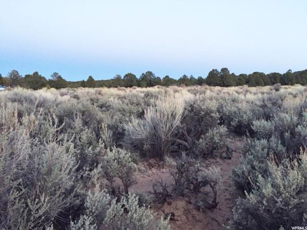 Torrey, UT 84775