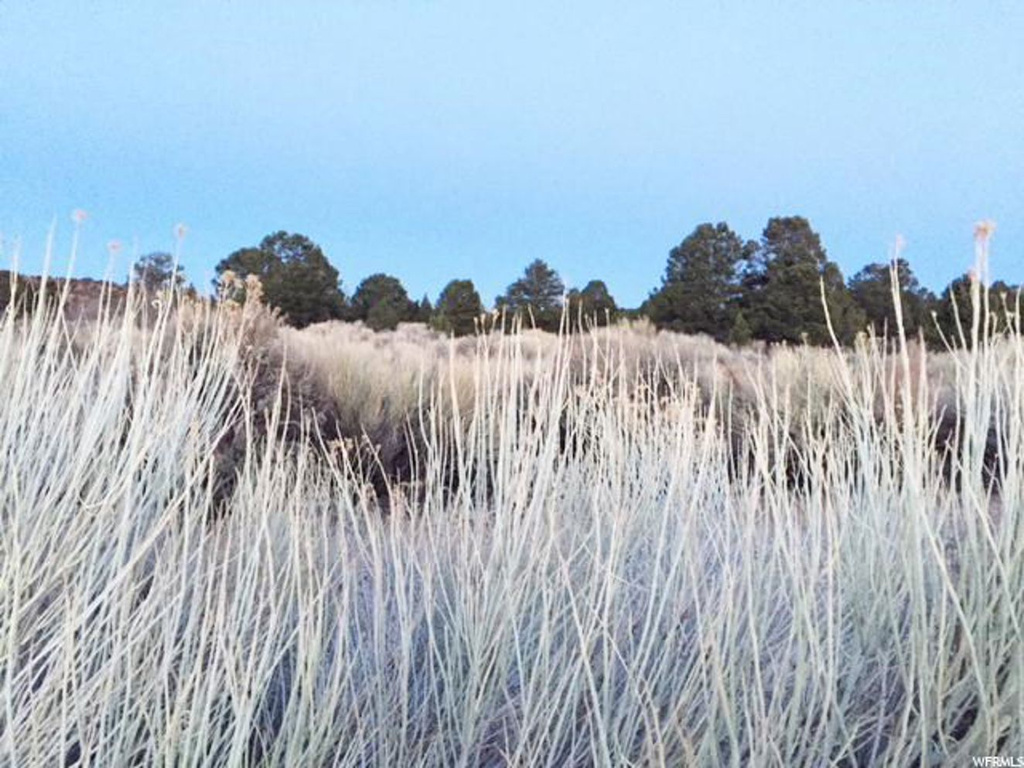 Torrey, UT 84775