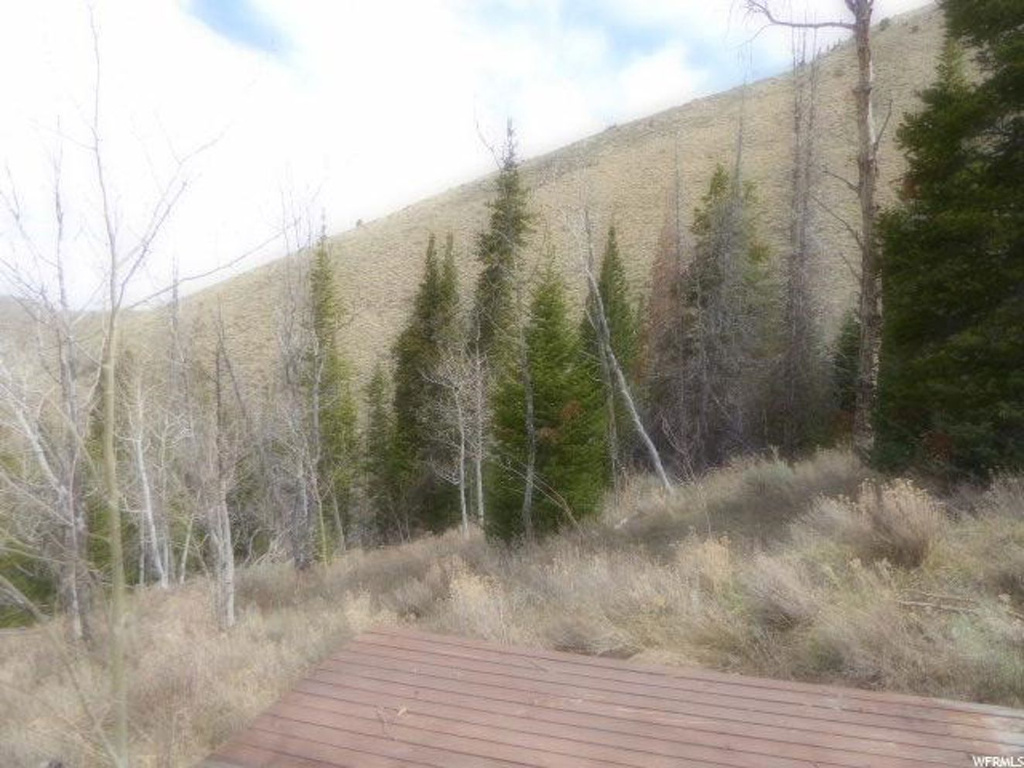 #31, Scofield, UT 84526