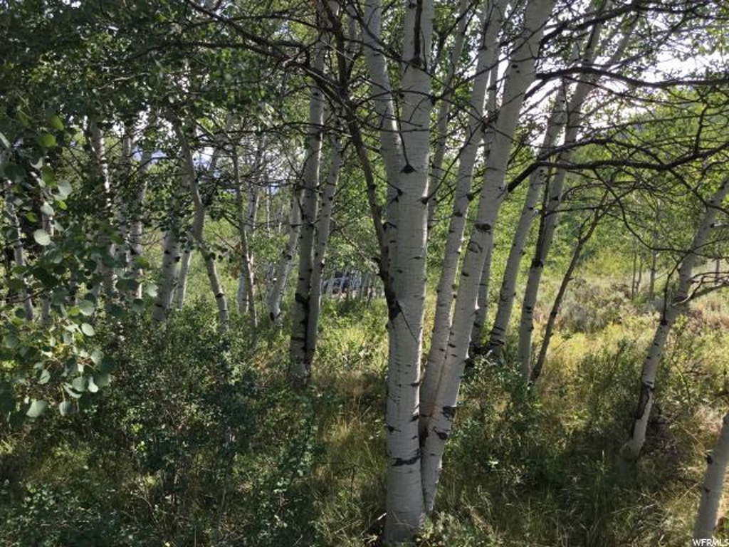 630 Conifer #630, Oakley, UT 84055