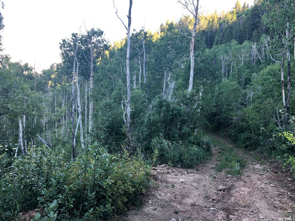 #31, Tabiona, UT 84072