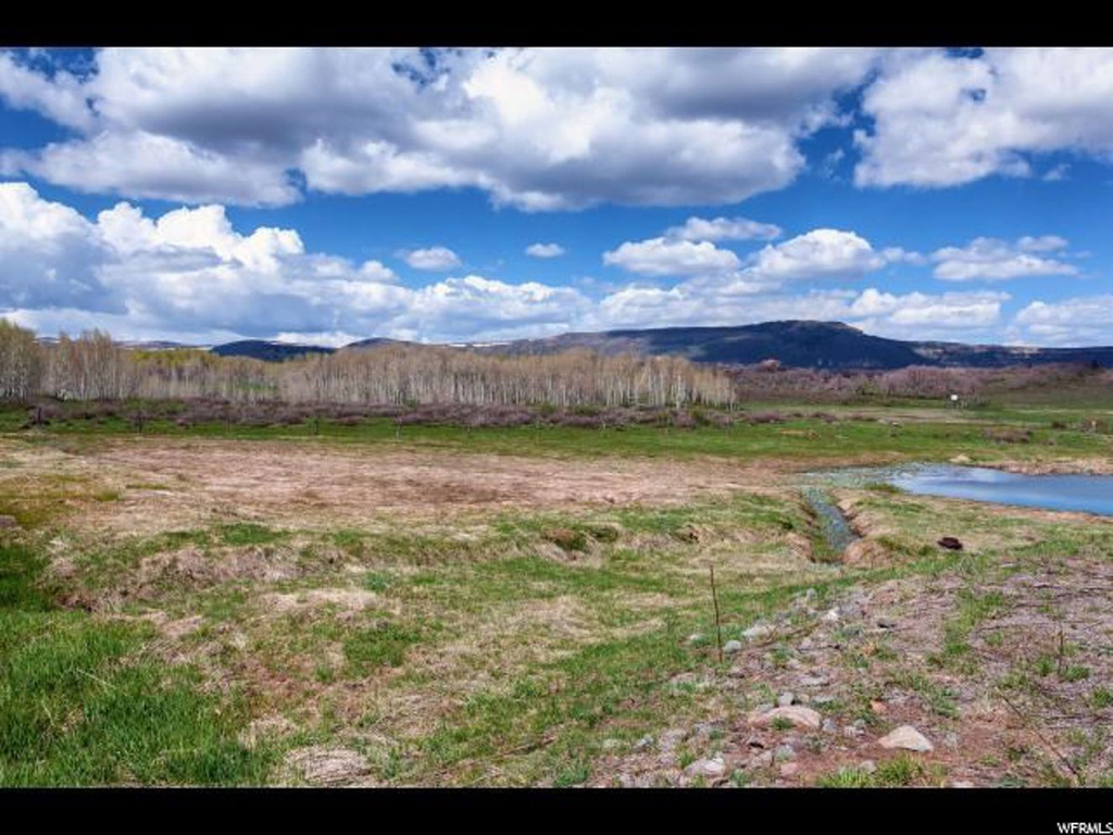 #38, Virgin, UT 84779