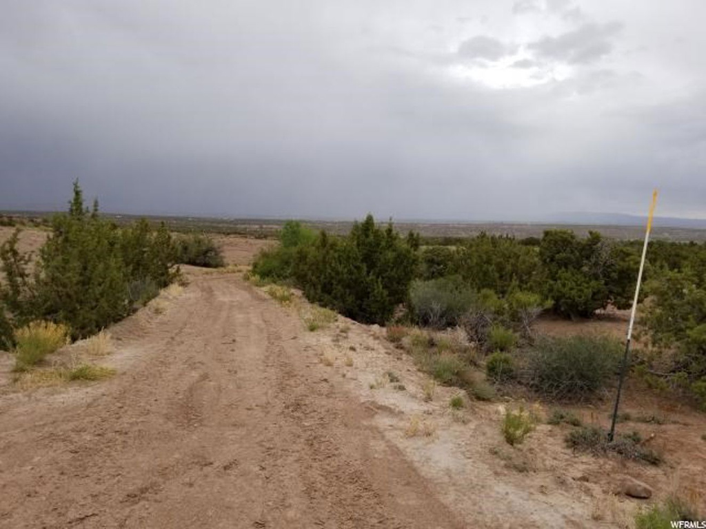#77, Roosevelt, UT 84066