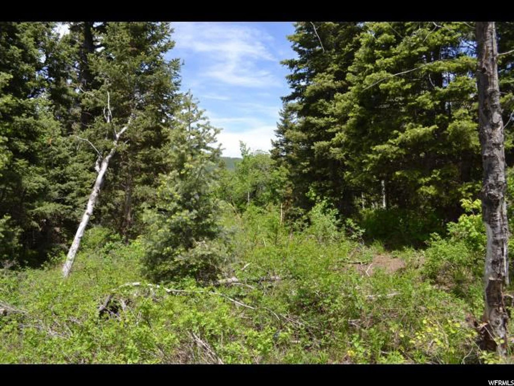 926 Deep Forest Rd #157, Wanship, UT 84017