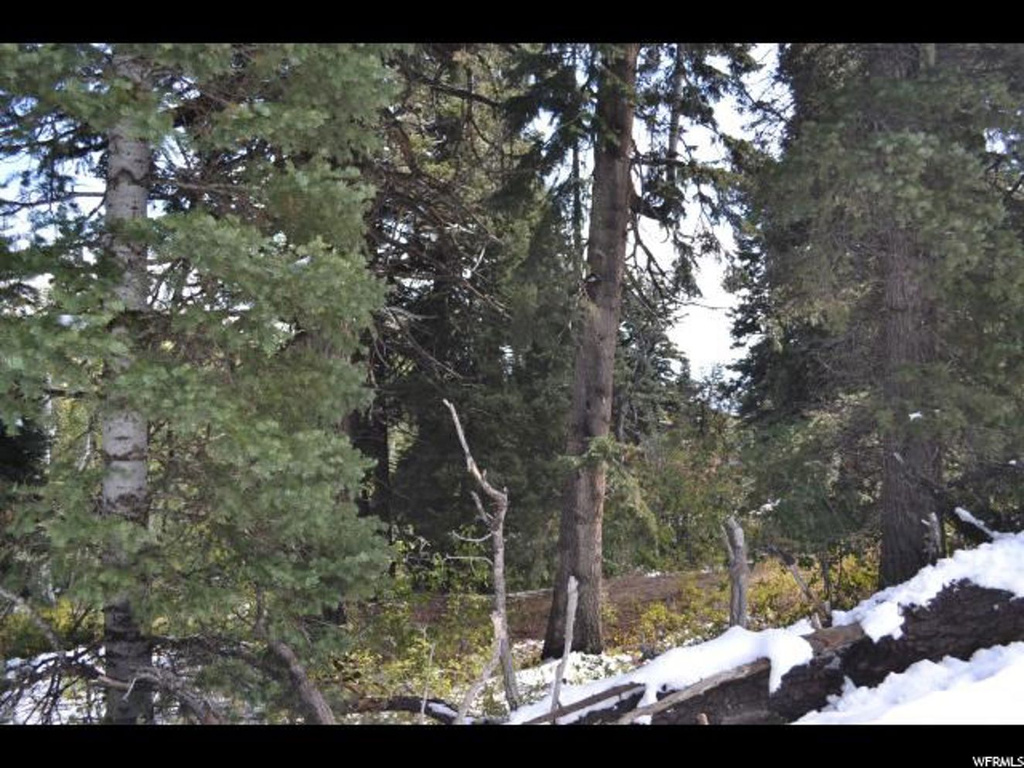 900 Deep Forest Rd #181, Wanship, UT 84017