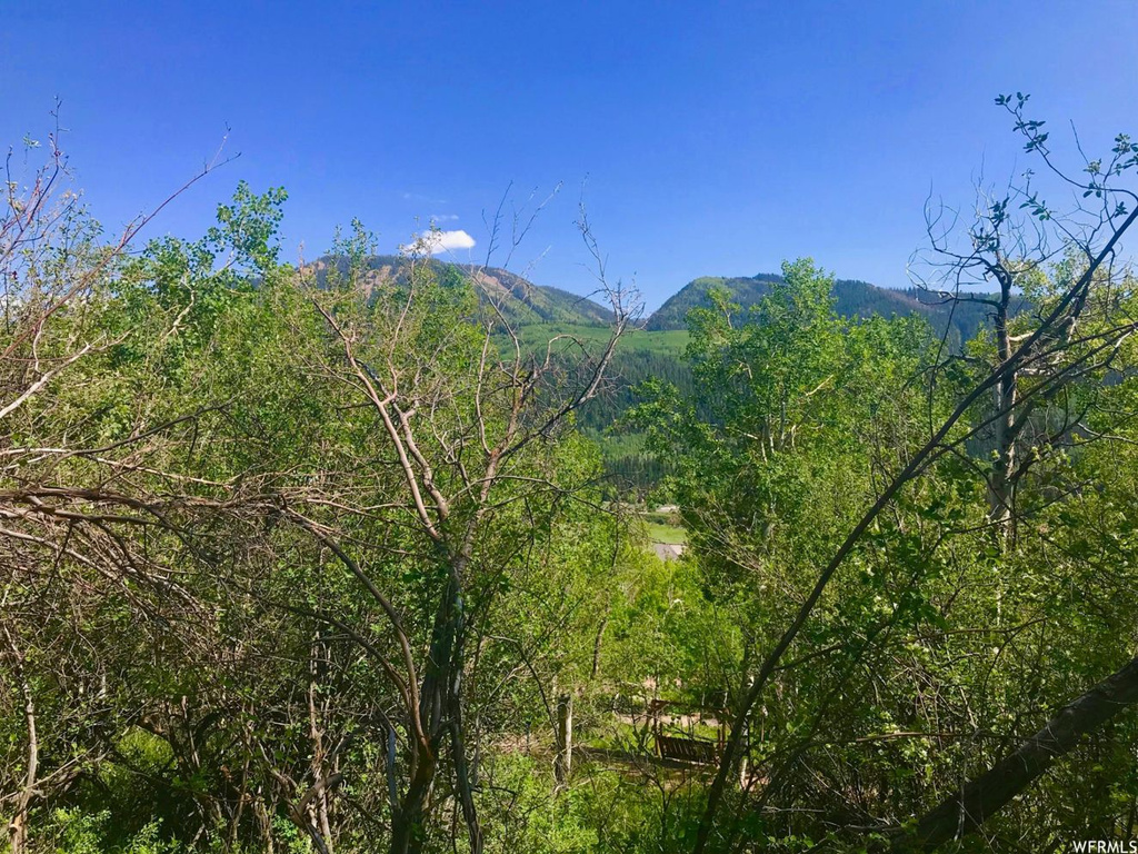 674 Ashley Ln, Oakley, UT 84055