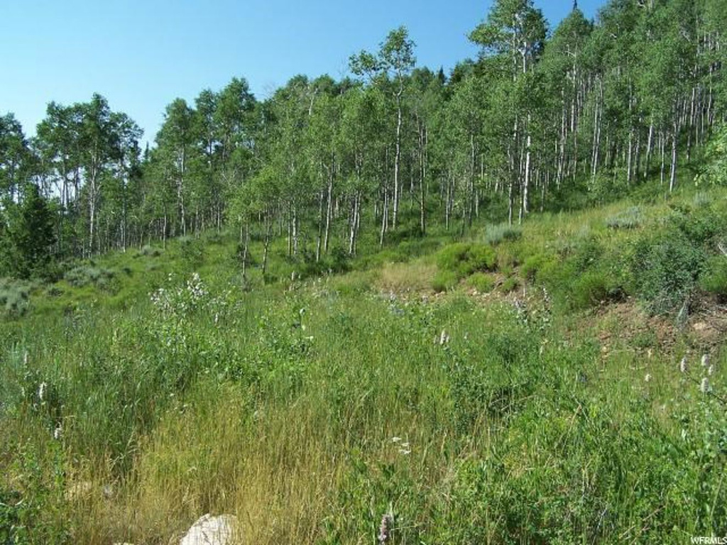 #23, Tabiona, UT 84072