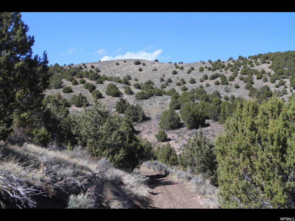 Moroni, UT 120 acres of recreational land contained in two parcels in the Blue Hills above Apple Tree Springs. Excellent views! Zoned for 1 cabin per 40 acres. Access is from north of Moroni, Blue Hills Road easterly off of Hwy 132. The road is improved gravel, maintained to Apple Tree Springs. Power not available so solar/generator/battery would be needed. Map location approximates the center of the property along a road. Coordinates 39.605711, -111.543087. All information given as a courtesy. Buyer and/or buyers agent are responsible to verify all information independently. Plat maps and county property tax master records available in listing documents section