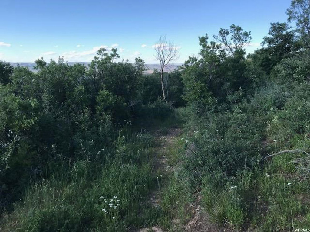 168 Tony's Canyon Rd #168, Echo, UT 84024