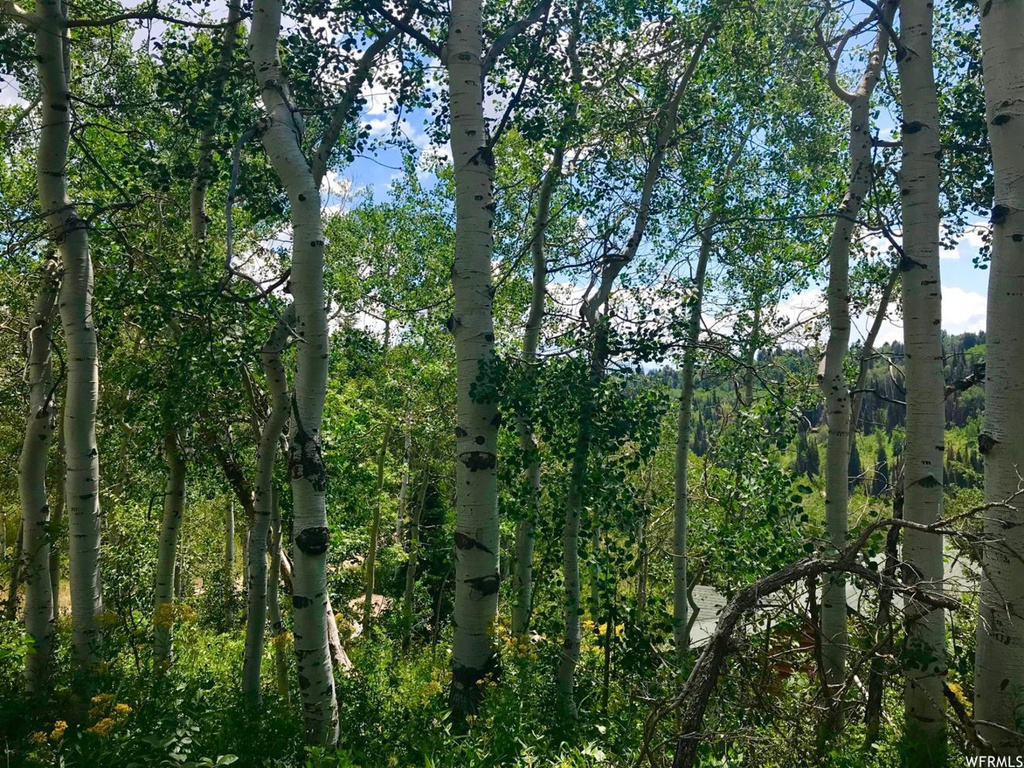 1111 Beaver Cir #D-22, Wanship, UT 84017