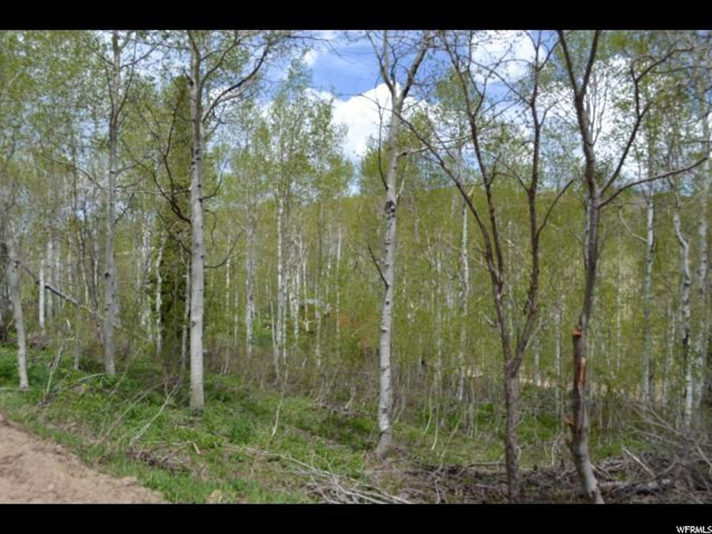1171 Oak Rd, Wanship, UT 84017