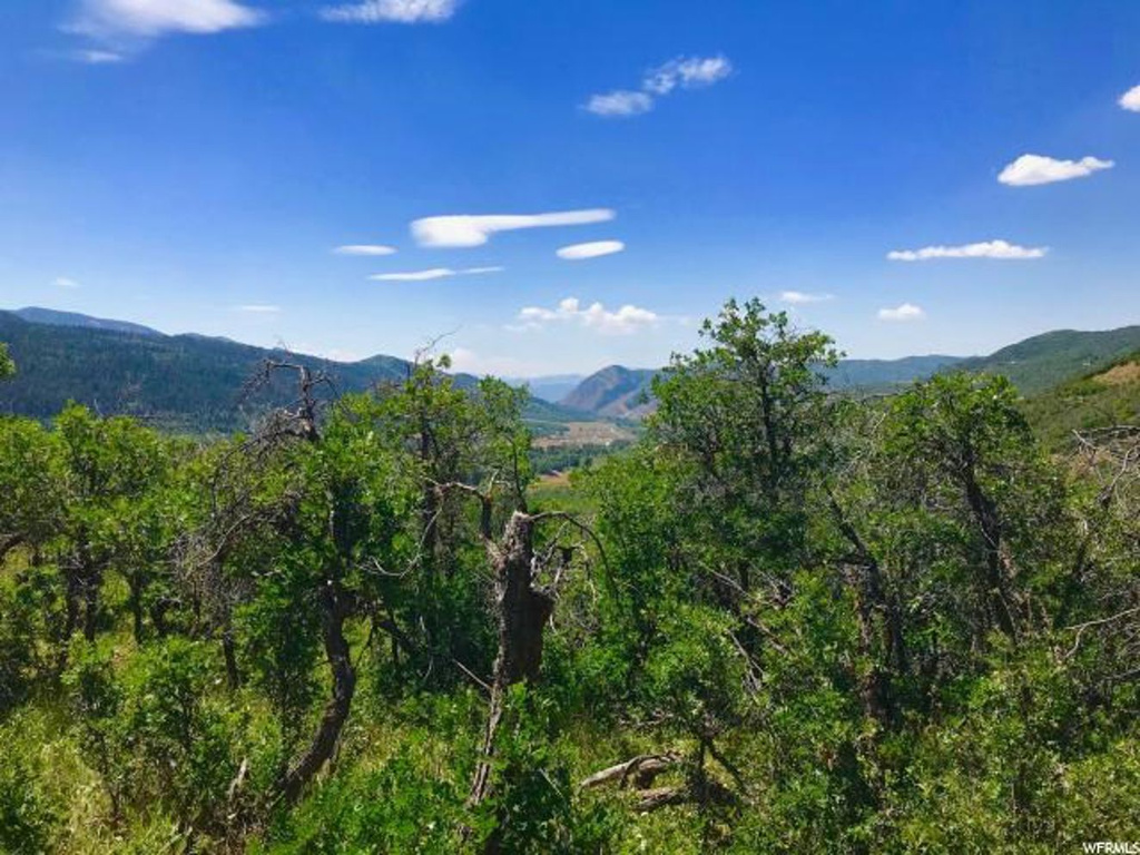 16 Jackson Cir #16, Oakley, UT 84055