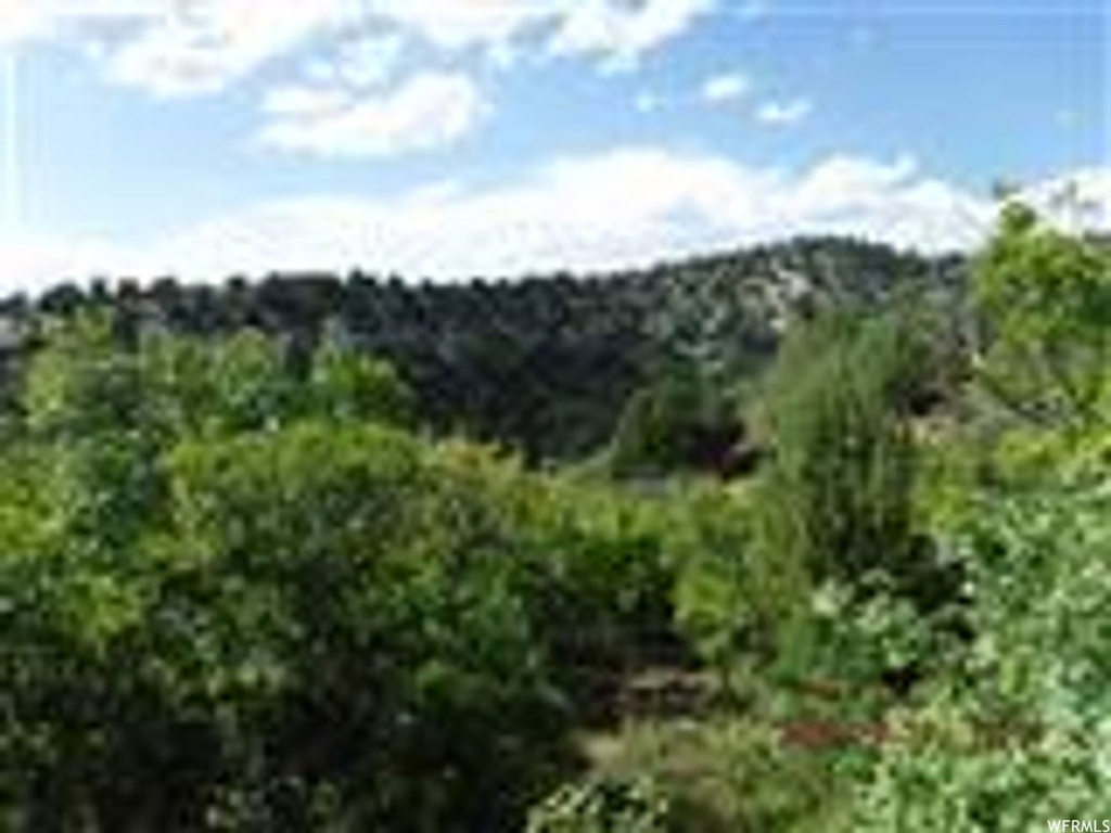 13085 E Juniper N #M-92, Fairview, UT 84629