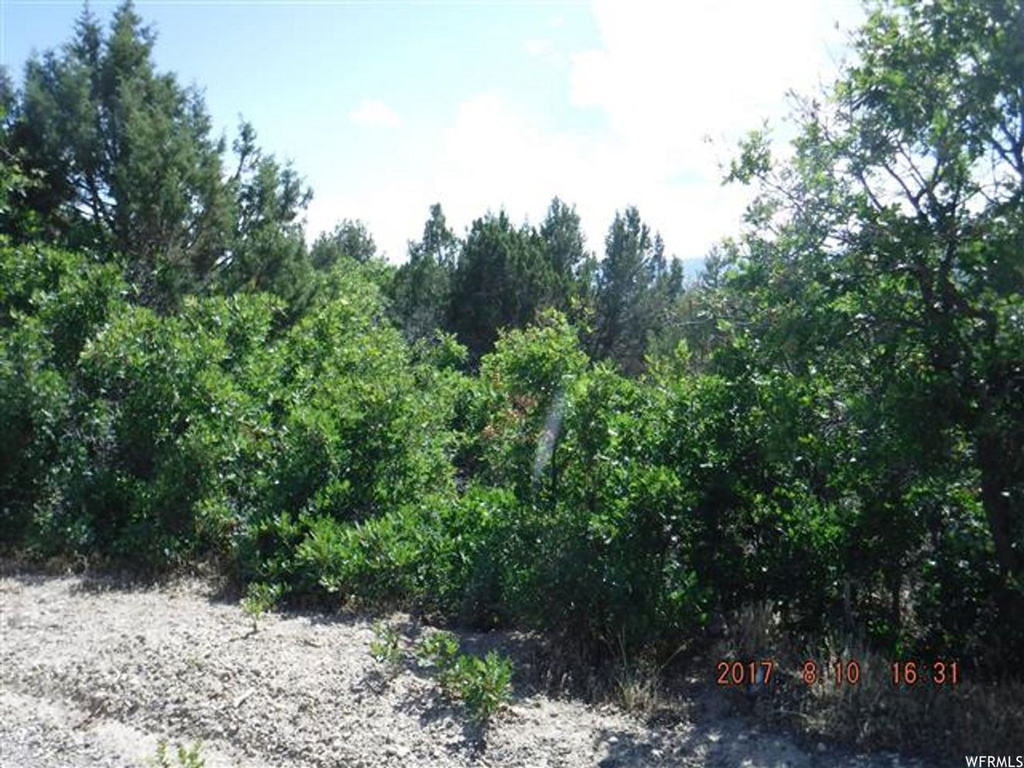 12930 E Cedar Rdg N #C-76, Fairview, UT 84629