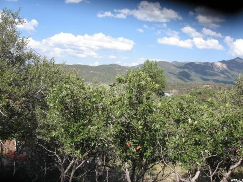 #29, Pine Valley, UT 84781