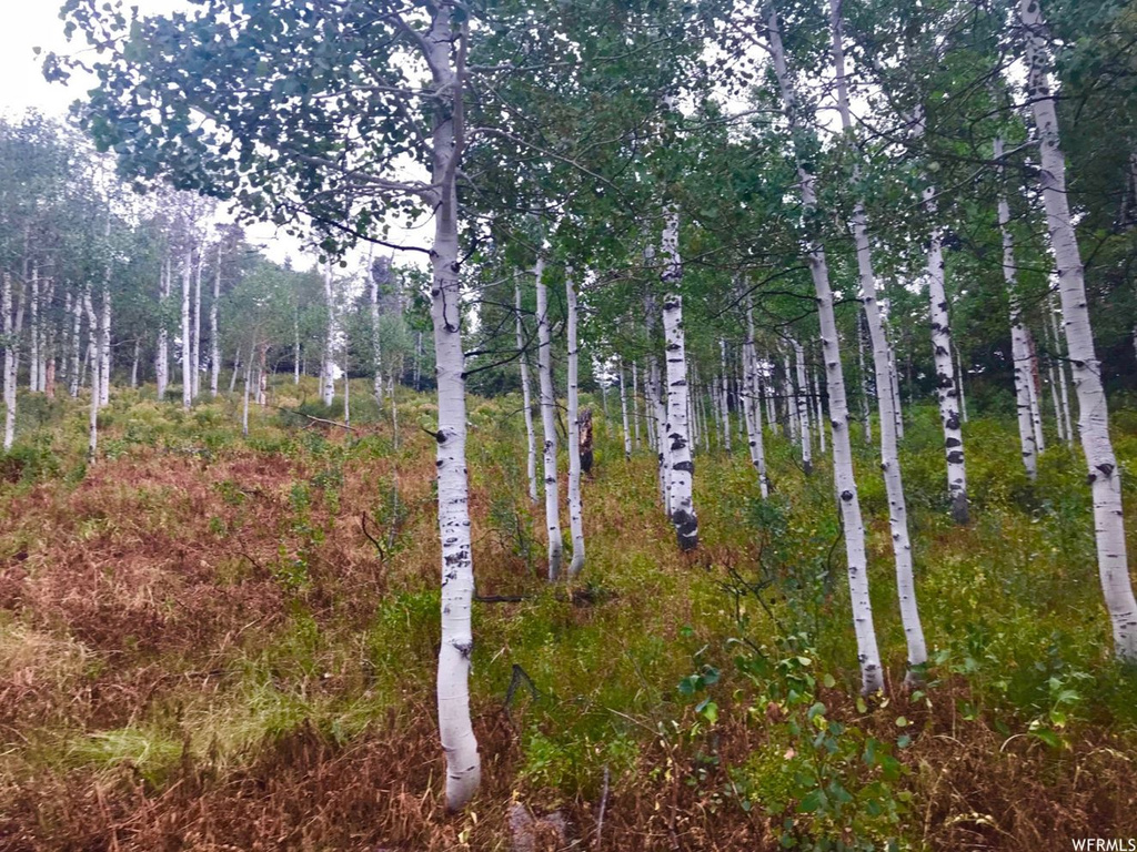 1987 Pine Loop Rd #F-37, Wanship, UT 84017