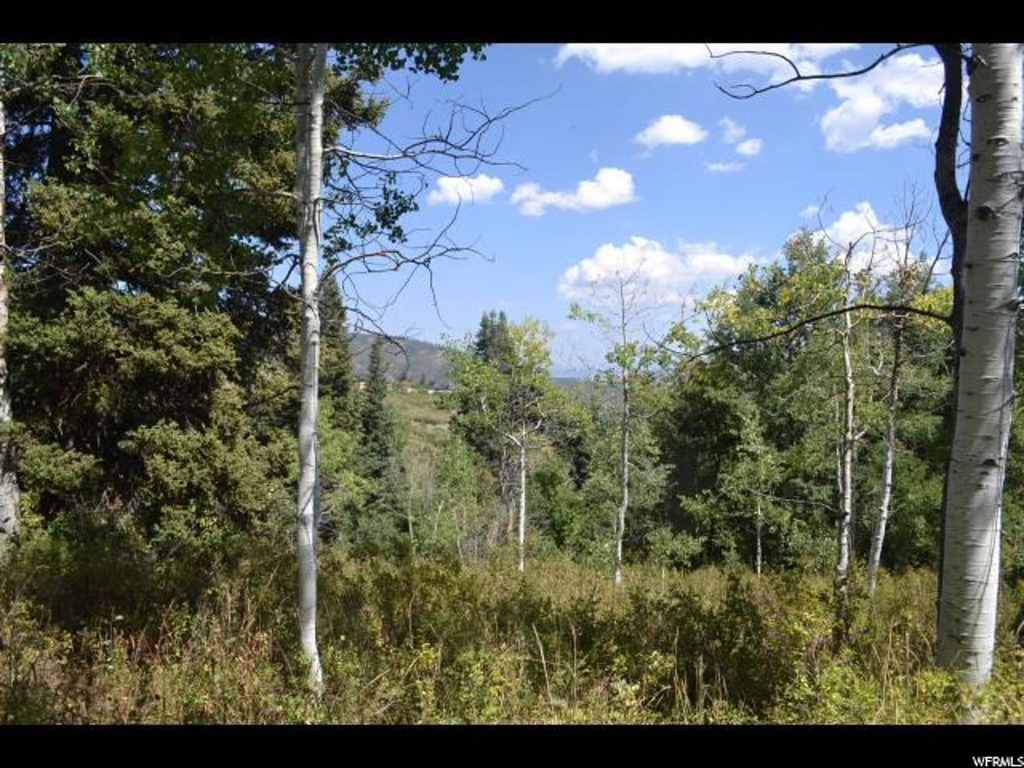 573 Forgotten Ln #99-A, Wanship, UT 84017