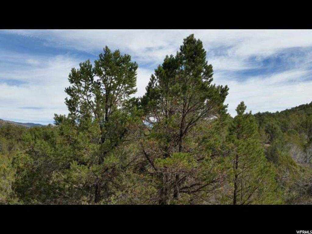 #28, Indianola, UT 84629
