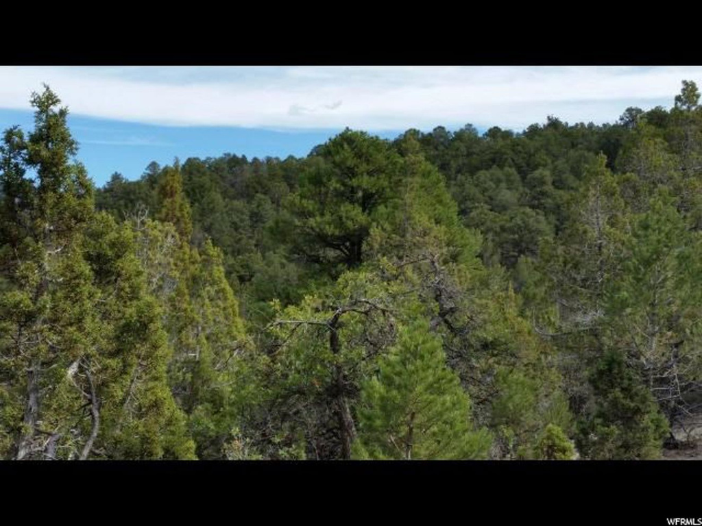 #1, Indianola, UT 84629