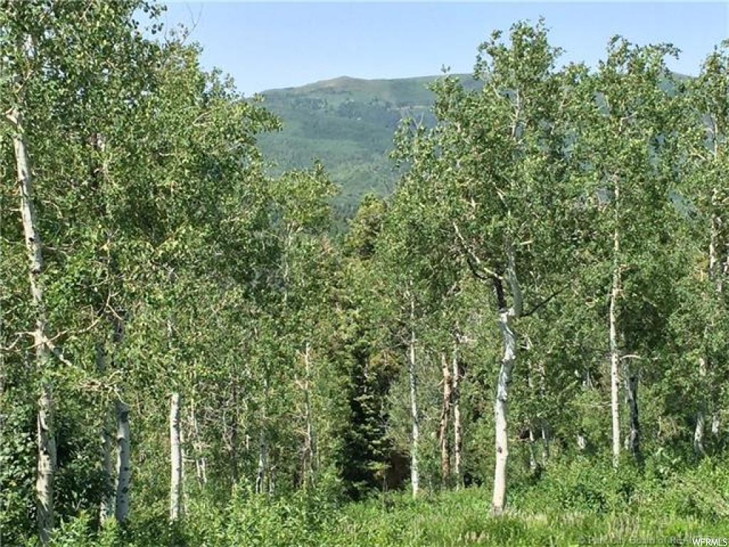 595 Porcupine Loop, Wanship, UT 84017